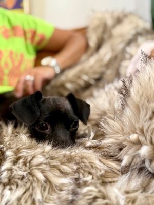 Paisley May thumbnail 2