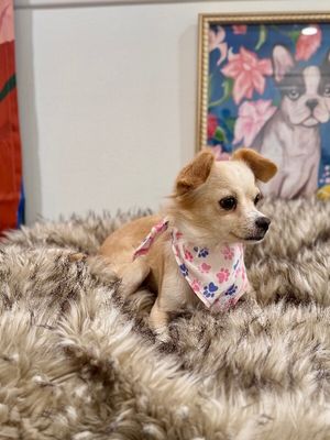 Mackenzie May thumbnail 2