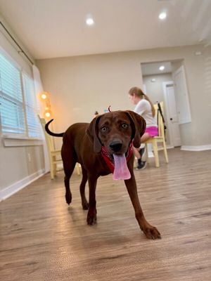 Cooper Clifford The Big Red Lovebug thumbnail 10