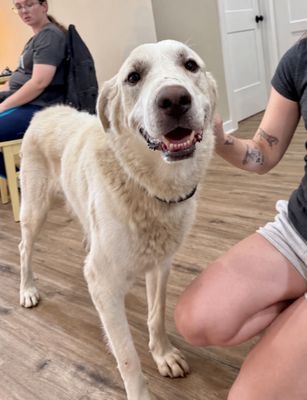 Dudley McFloof The Family Man thumbnail 9