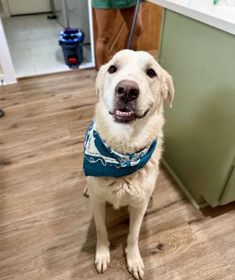Dudley McFloof The Family Man thumbnail 12