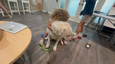 Dudley McFloof The Family Man thumbnail 13