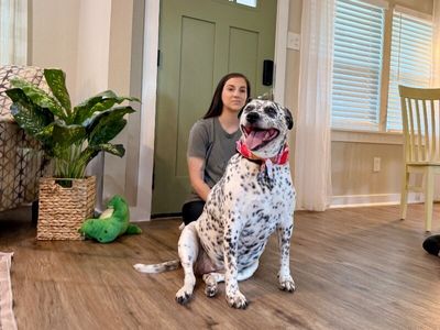 Dottie Darling Dalmatian thumbnail 13