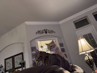 Queens New York thumbnail 4