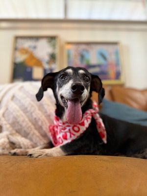 Misses Buttersworth Sweet Little Granny Girl thumbnail 9