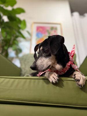 Misses Buttersworth Sweet Little Granny Girl thumbnail 5
