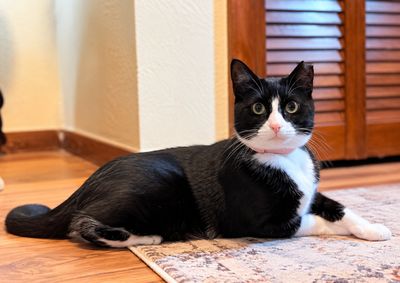 Millie The Magnificent thumbnail 1