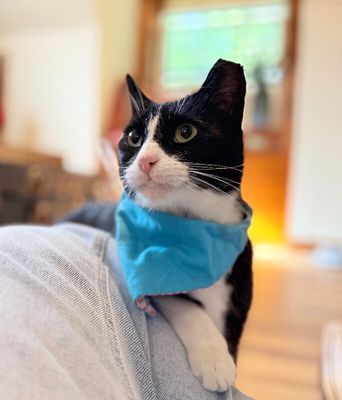 Millie The Magnificent thumbnail 6