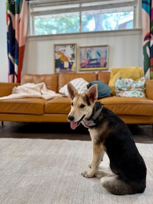 Butters Mellow Fellow thumbnail 6