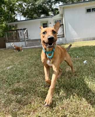 Peirre Jett The Goofiest Sweet Boy thumbnail 5