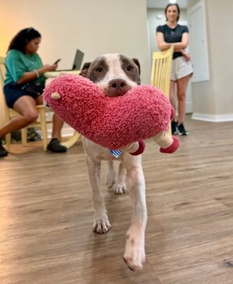 River Forest Fun Loving Best Friend thumbnail 3