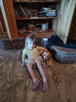 Sadie Mini Lab Bestie thumbnail 5
