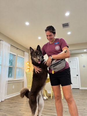 Jacob Joy Fun Loving Fluff Ball thumbnail 14