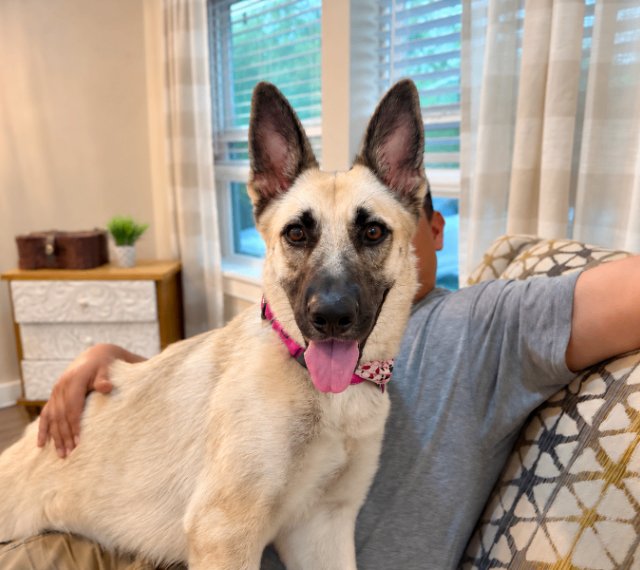 Rose Fancy The Goofy Good Girl