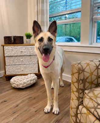 Rose Fancy The Goofy Good Girl thumbnail 14