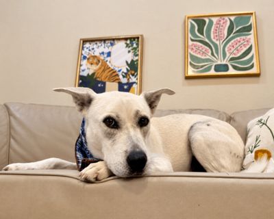 Oakley Bubs the Soulful Sweetie thumbnail 13