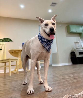 Oakley Bubs the Soulful Sweetie thumbnail 7