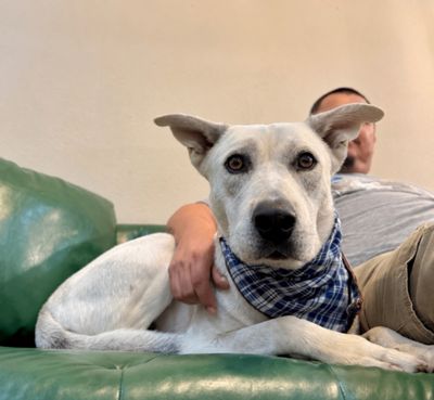 Oakley Bubs the Soulful Sweetie thumbnail 11