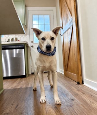 Oakley Bubs the Soulful Sweetie thumbnail 10