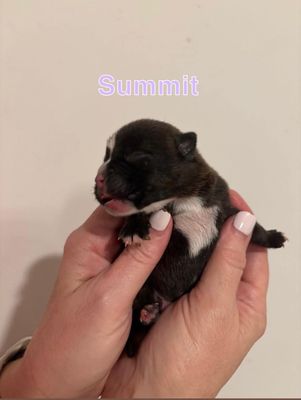 Summit Snuggle Peak thumbnail 14