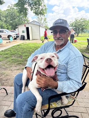 Handsome Pete Sweet and Unique thumbnail 15