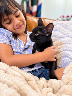Mavis Purrfect Explorer thumbnail 2