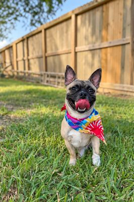 Potato Smiles for Miles thumbnail 2