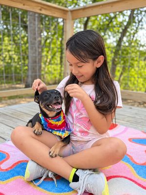 Pudding Wiggles and Grins thumbnail 1