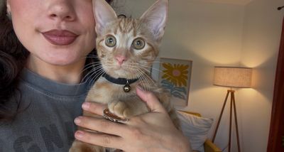 Chester Von Cheeto thumbnail 4