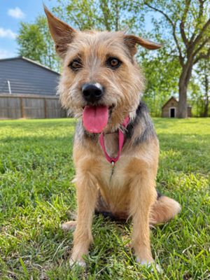 Bella Sunday Stroll thumbnail 1