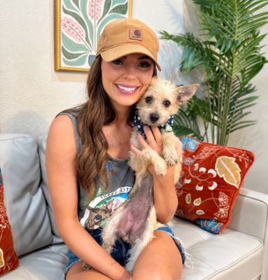 Dulce Kisses Little Lap Lover thumbnail 11