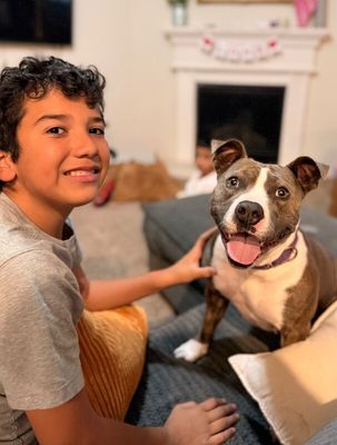 Holly The Best Family Dog thumbnail 2