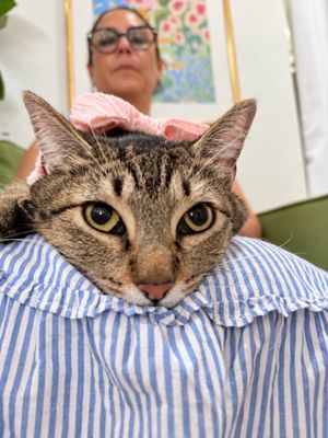 Margarita Snugglepurr thumbnail 1