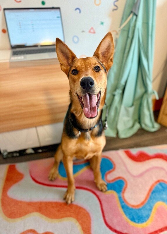 Becca Boo Loves Bigger than her EARS - Photo 1