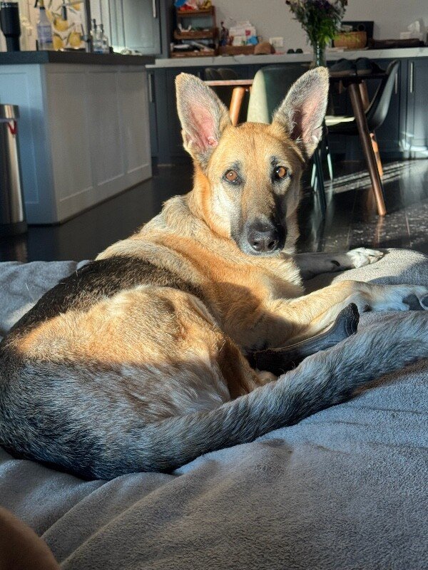Zora Cozy Perfect in Every Way - Photo 1