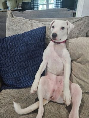 Yuki Happy Hops the Itty-Bitty Babe thumbnail 7