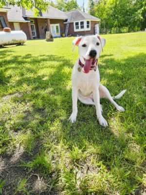 Yuki Happy Hops the Itty-Bitty Babe thumbnail 5