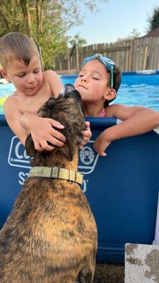 Lucky Boy Your Beach Loving Best Friend thumbnail 3