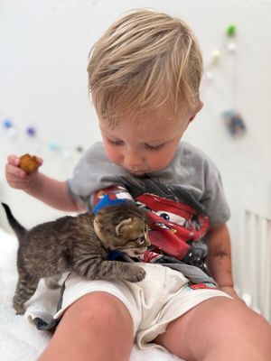 Santi Huggy Noodle Love thumbnail 8