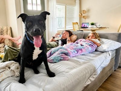 Kissy Kismet The Kid Loving Pup thumbnail 1