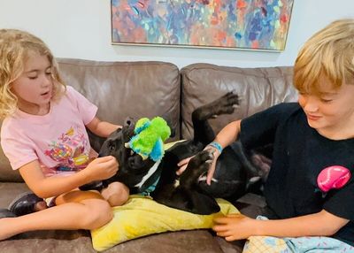 Roscoe Cuddle Family Dog thumbnail 1