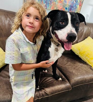 Franky Sinatra a Kids Dream Dog thumbnail 1