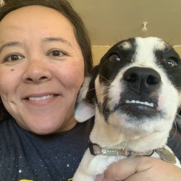 Nile Sweetpea, a Australian Cattle Dog dog
