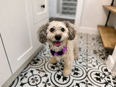Lulu Grace Sweet Little Lady thumbnail 9