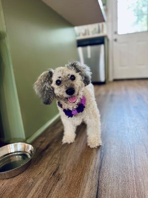 Lulu Grace Sweet Little Lady thumbnail 11