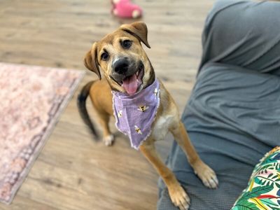 Brie April Cutest Chunk thumbnail 1