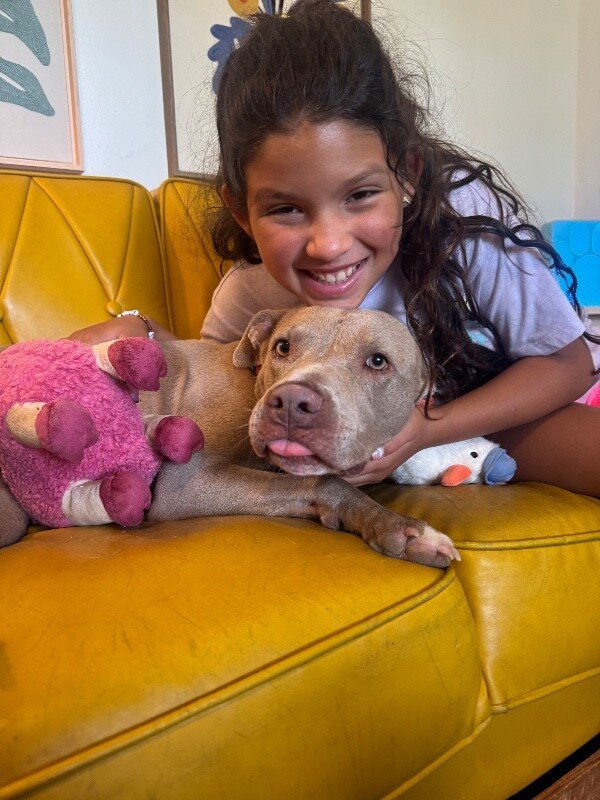 Rumi Cutie the Total Sweetheart - Photo 1