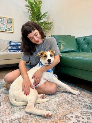 Spruce Lee Penelope thumbnail 2