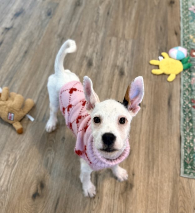 Dolly Hazel Toy Story - Photo 1