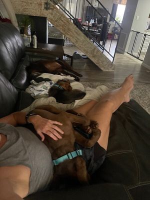 Briggs Bubba Sweet Boy Energy thumbnail 14